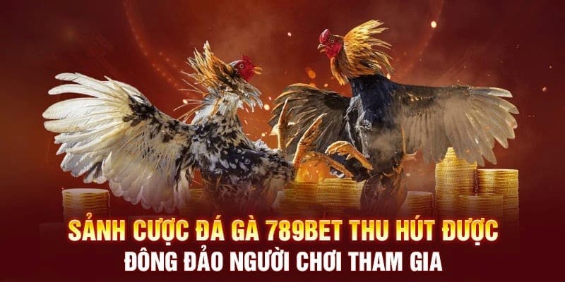 Các điểm sáng độc quyền trong sảnh chọi gà trực tuyến 789bet